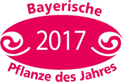 Bayerische Pflanze des Jahres 2017